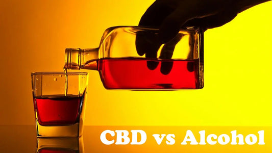 Utilisation du CBD pour traiter les troubles liés à la consommation d'alcool