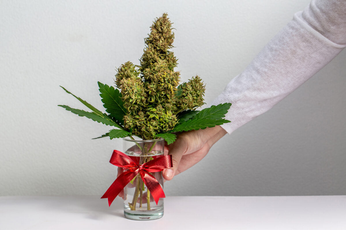 Les cadeaux CBD parfaits pour les fêtes : Idées pour offrir du bien-être