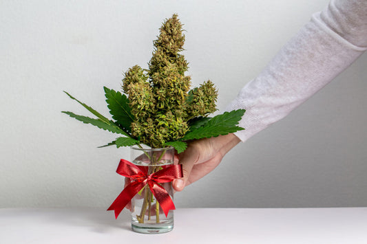Les cadeaux CBD parfaits pour les fêtes : Idées pour offrir du bien-être