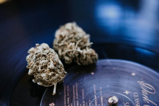 The Swiss Hemp : nouvelles méthodes de transports