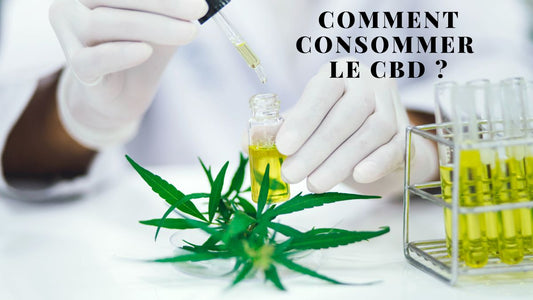 CONSOMMER LE CBD ?