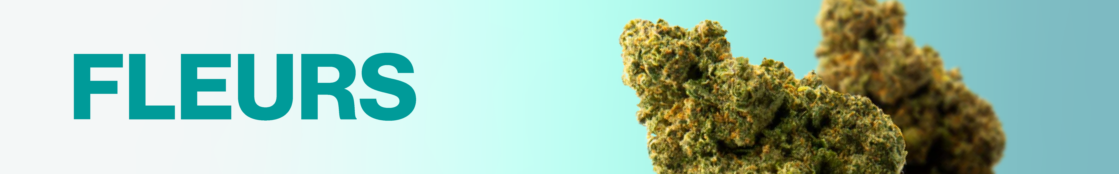Fleurs de CBD