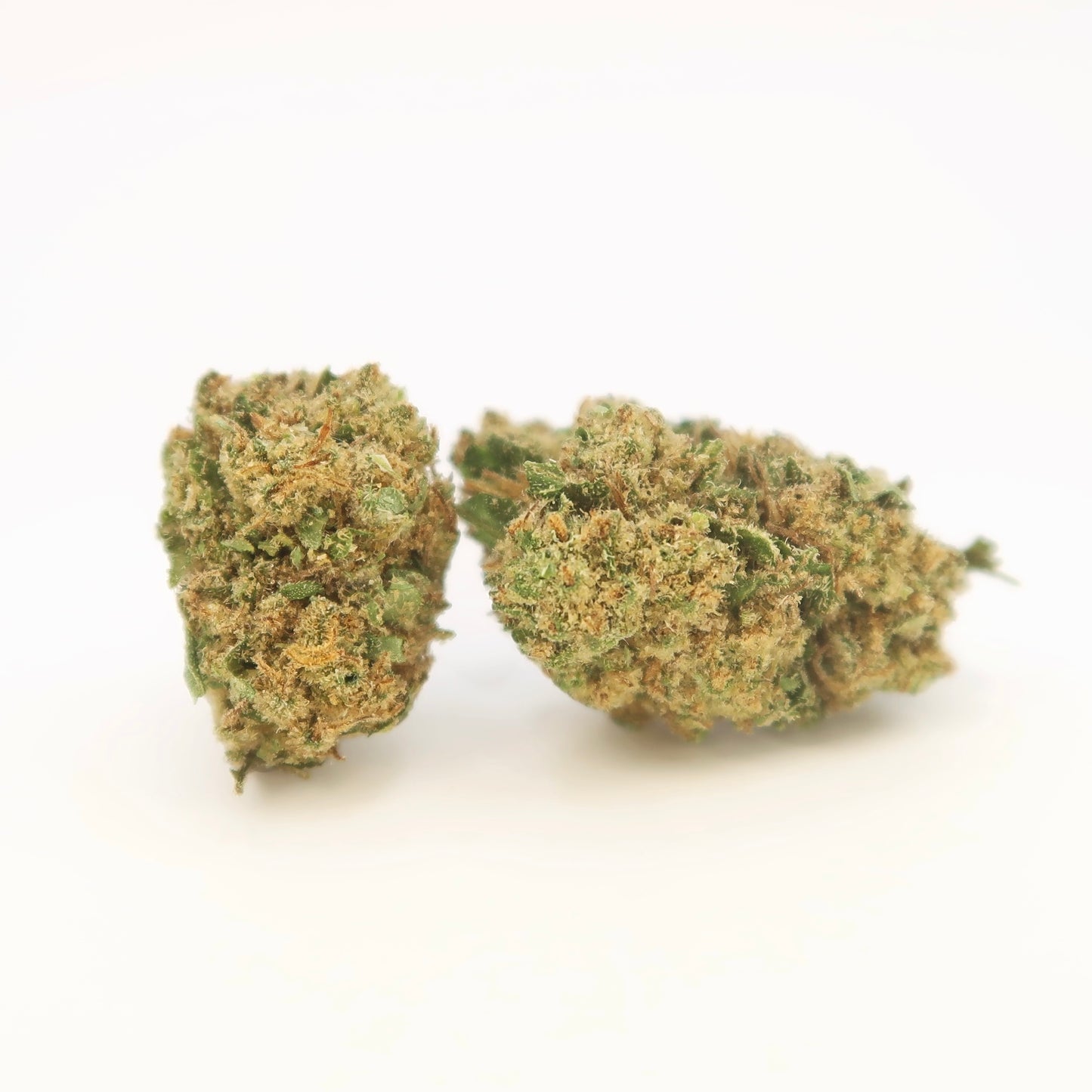 Harlequin Baby Buds CBD 16% Indoor