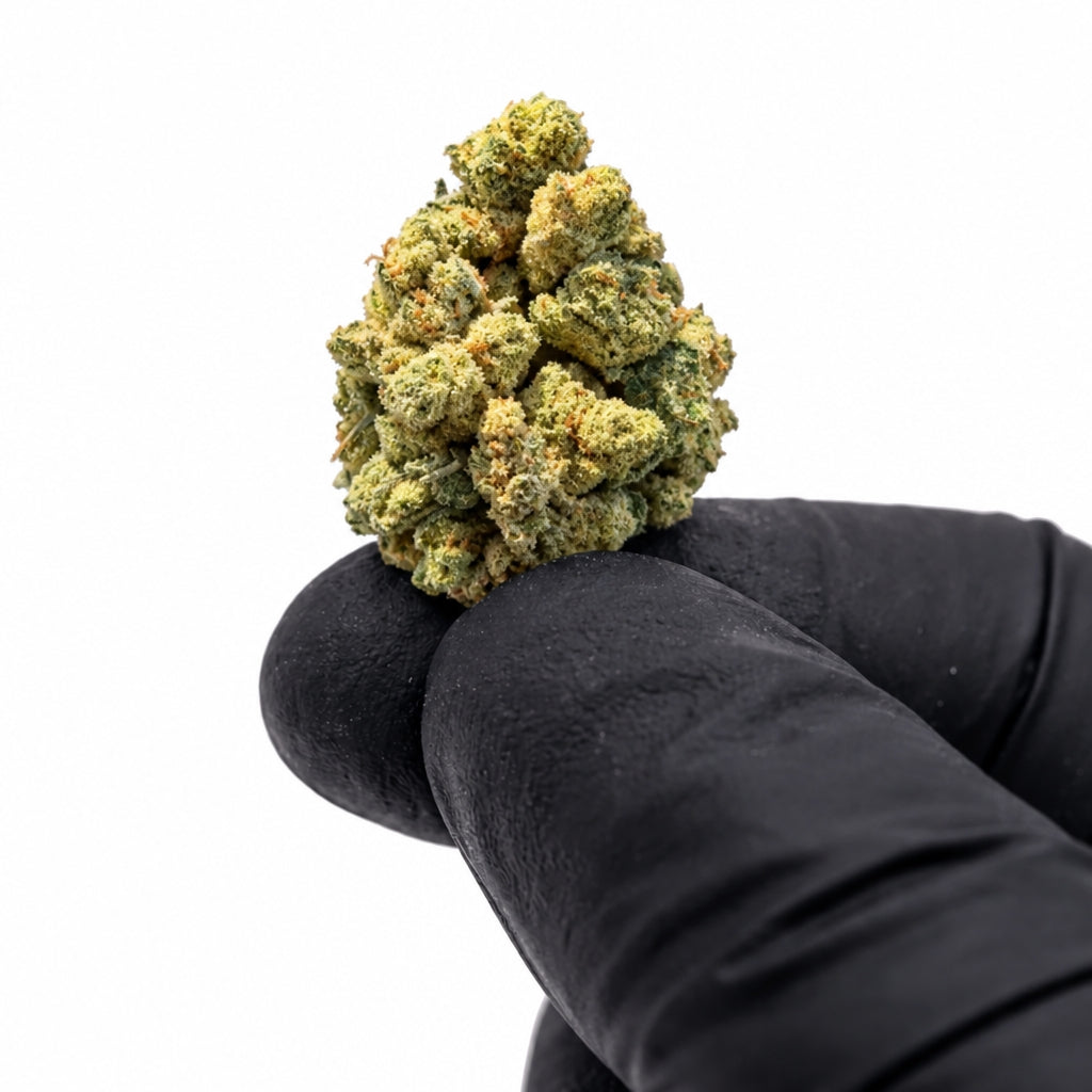 Pack 25Gr Small Bud Cali CBD 25% Indoor