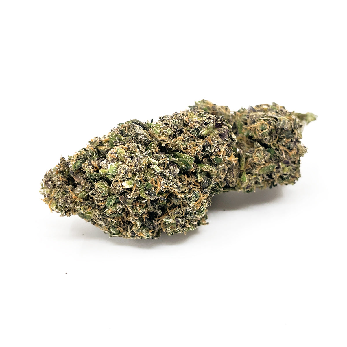 High Level Genetics Seeds Mailboo - 3 graines