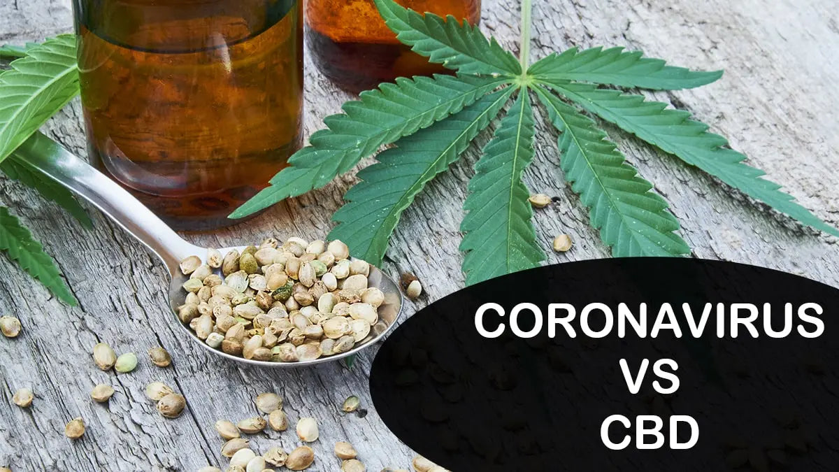 Le CBD vs Coronavirus