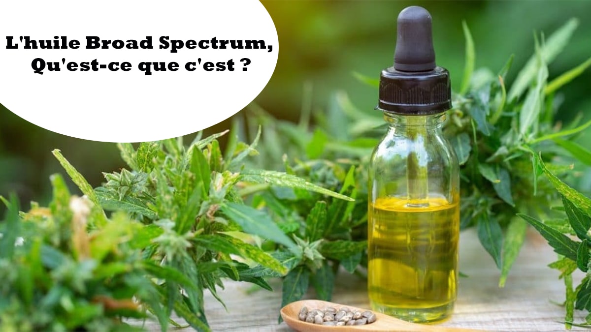 L'huile Broad Spectrum, Qu'est-ce que c'est ?