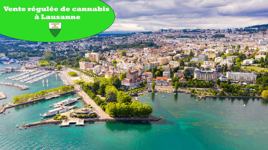 Vente régulée de cannabis à Lausanne : ouverture du lieu de vente prévue en septembre