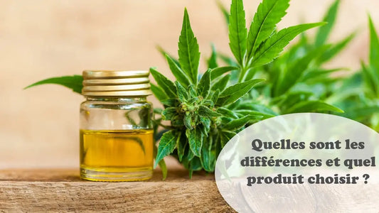 Quelles Sont Les Différence Entre CBD Full Spectrum, Broad Spectrum ?