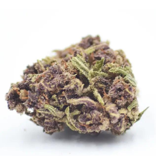Purple Punch Greenhouse - 18% CBD