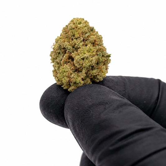 Pack 25Gr Cookies Small Bud CBD 25% Indoor