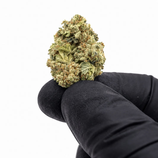 Pack 25Gr Small Bud Amnesia CBD 17% Greenhouse
