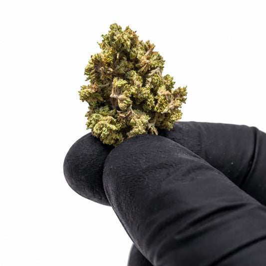 Pack 25Gr Small Bud Strawberry CBD 16% Greenhouse