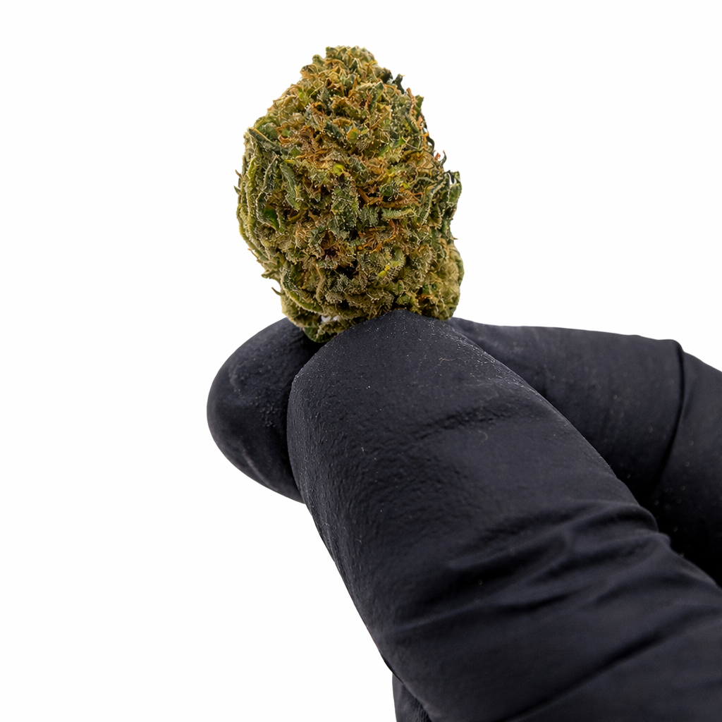 Pack 25Gr Small Bud Cheese Greenhouse