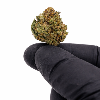 Pack 25Gr Small Bud Og Kush Greenhouse