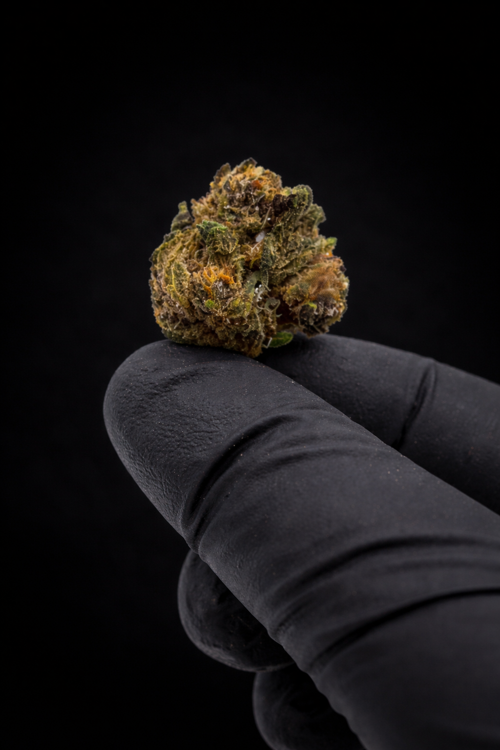 Pack 25Gr Small Bud bubble gum Greenhouse