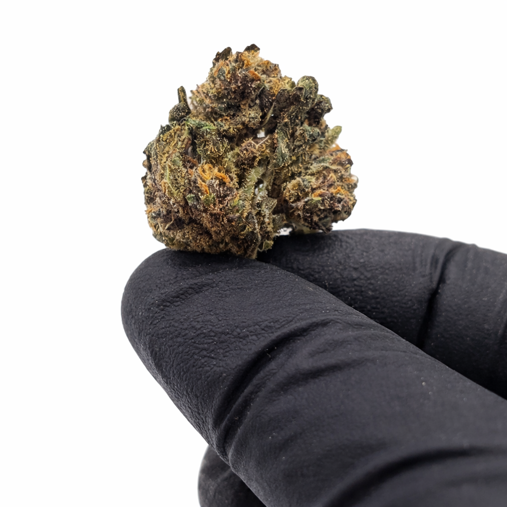 Pack 25Gr Small Bud bubble gum Greenhouse