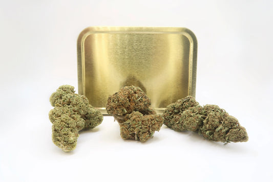 Pack Découverte Fleurs CBD